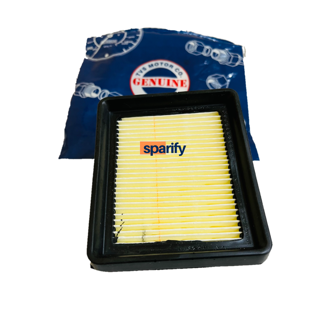 Apache RR 310/BMW 310 GS/R air filter (stock) BS4,BS6