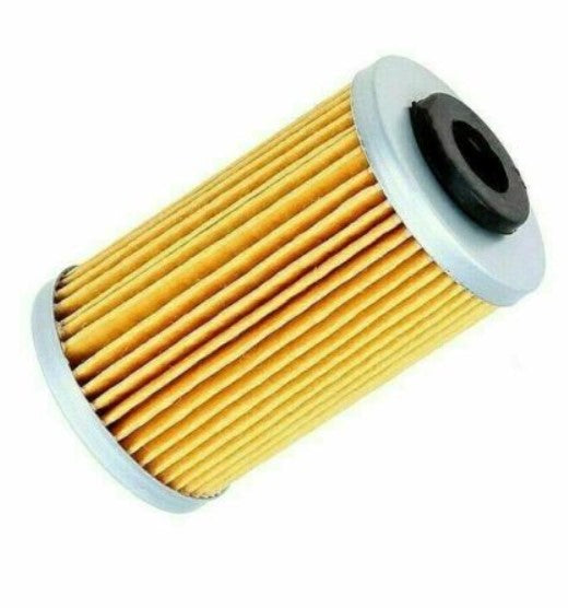 KTM Duke / RC Replacement Oil Filter