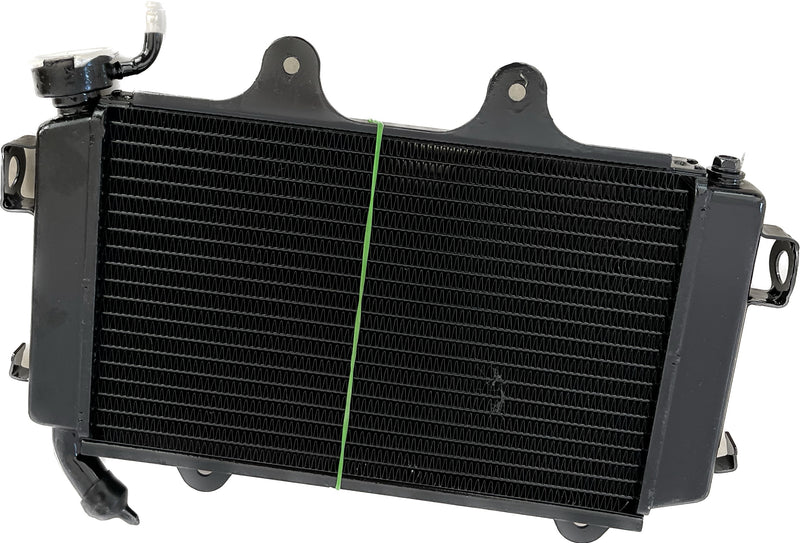 Duke 200 bs3/bs4 radiator assembly | KTM