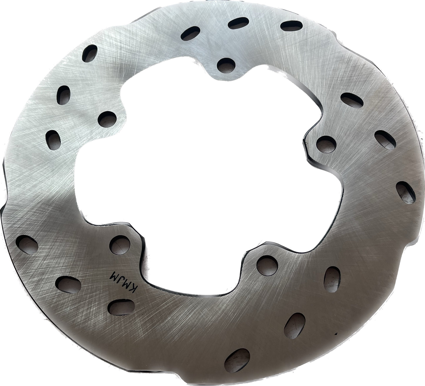 Apache RR 310 rear disc plate | TVS